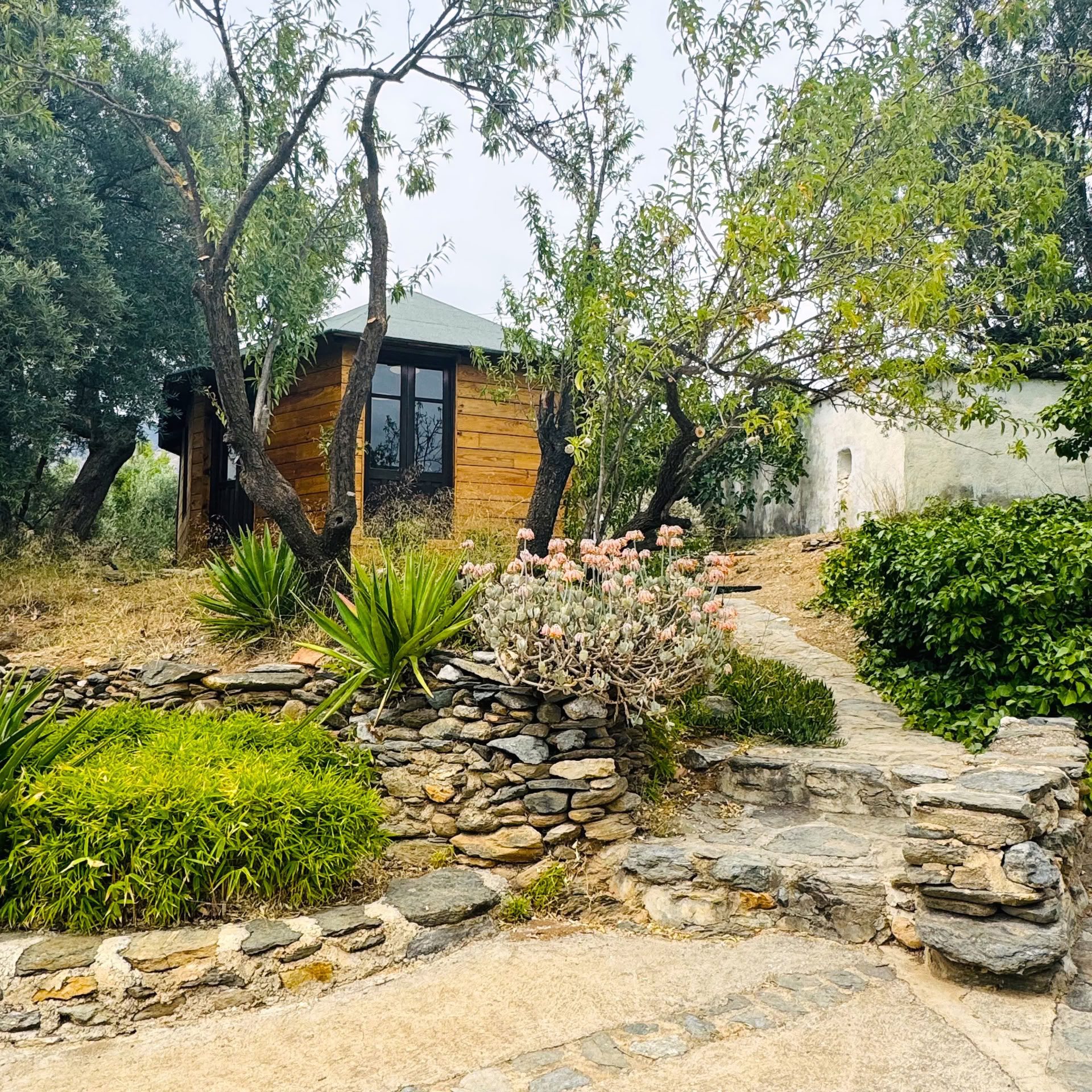 Yoga-Retreat in Spanien