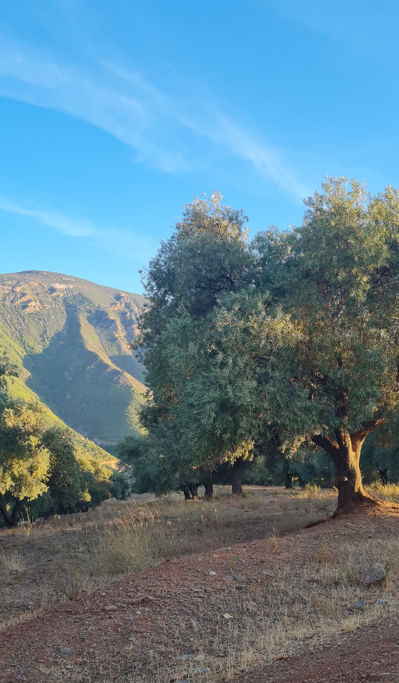 Yoga-Retreat in Spanien