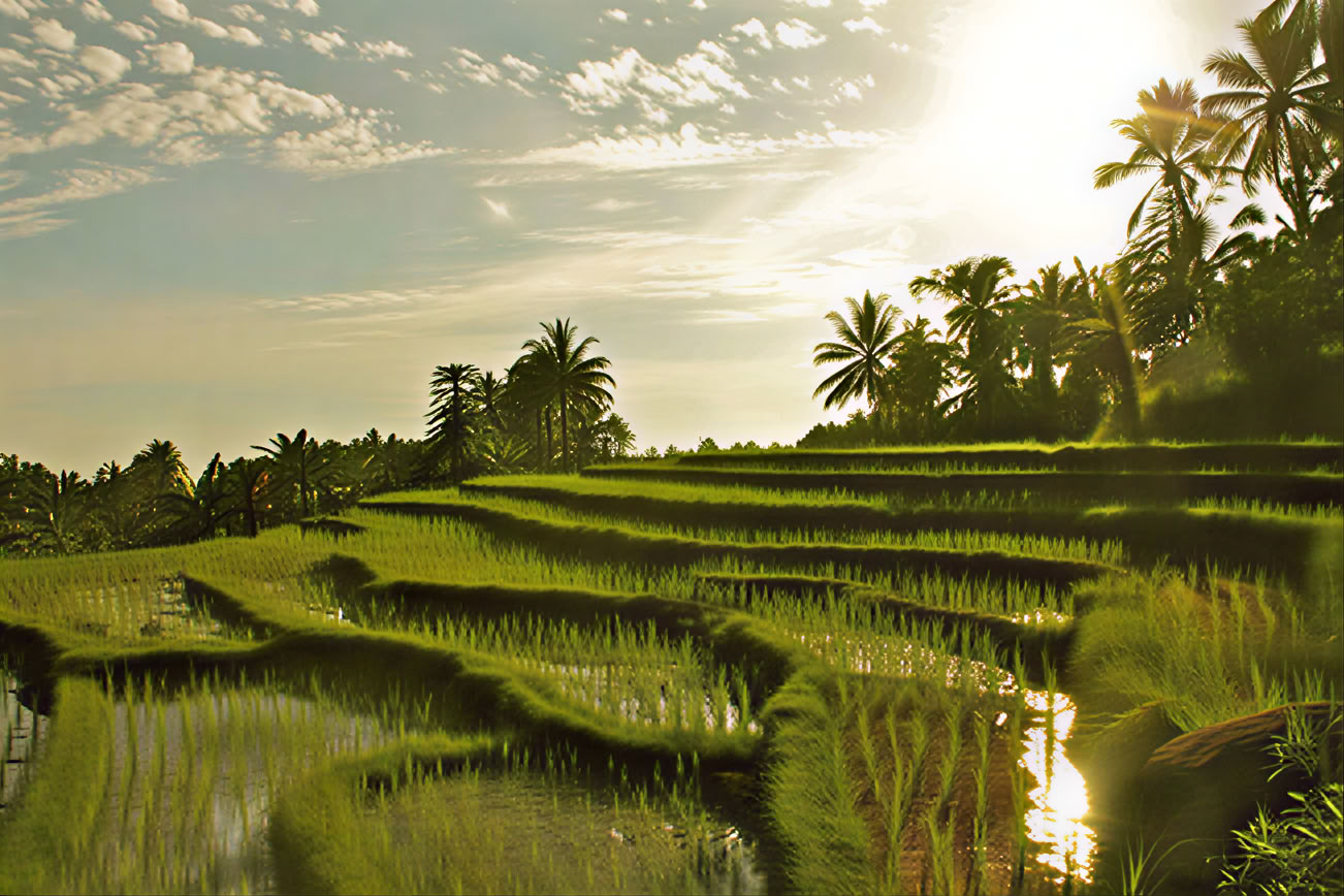 Bali Yoga Retreat