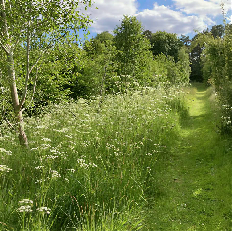 Meditations-Retreat: Einfach Sein