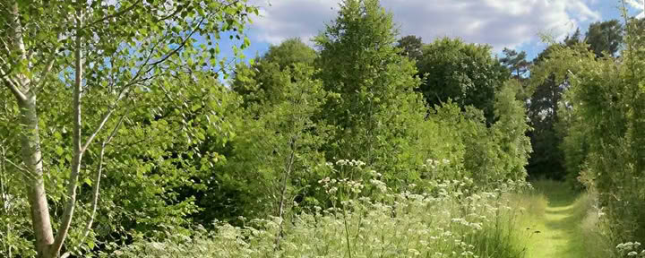 Meditations-Retreat: Einfach Sein