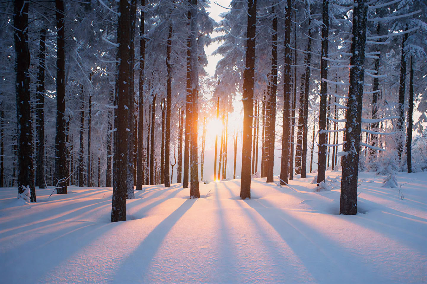 Alternatives Weihnachts-Retreat