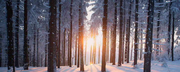 Alternatives Weihnachts-Retreat