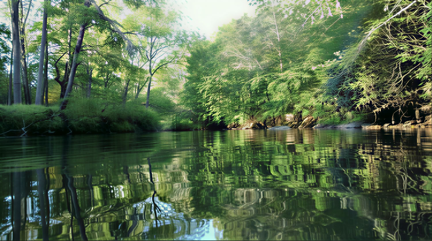 Herbstliches Göttinnen-Retreat bei Anahata