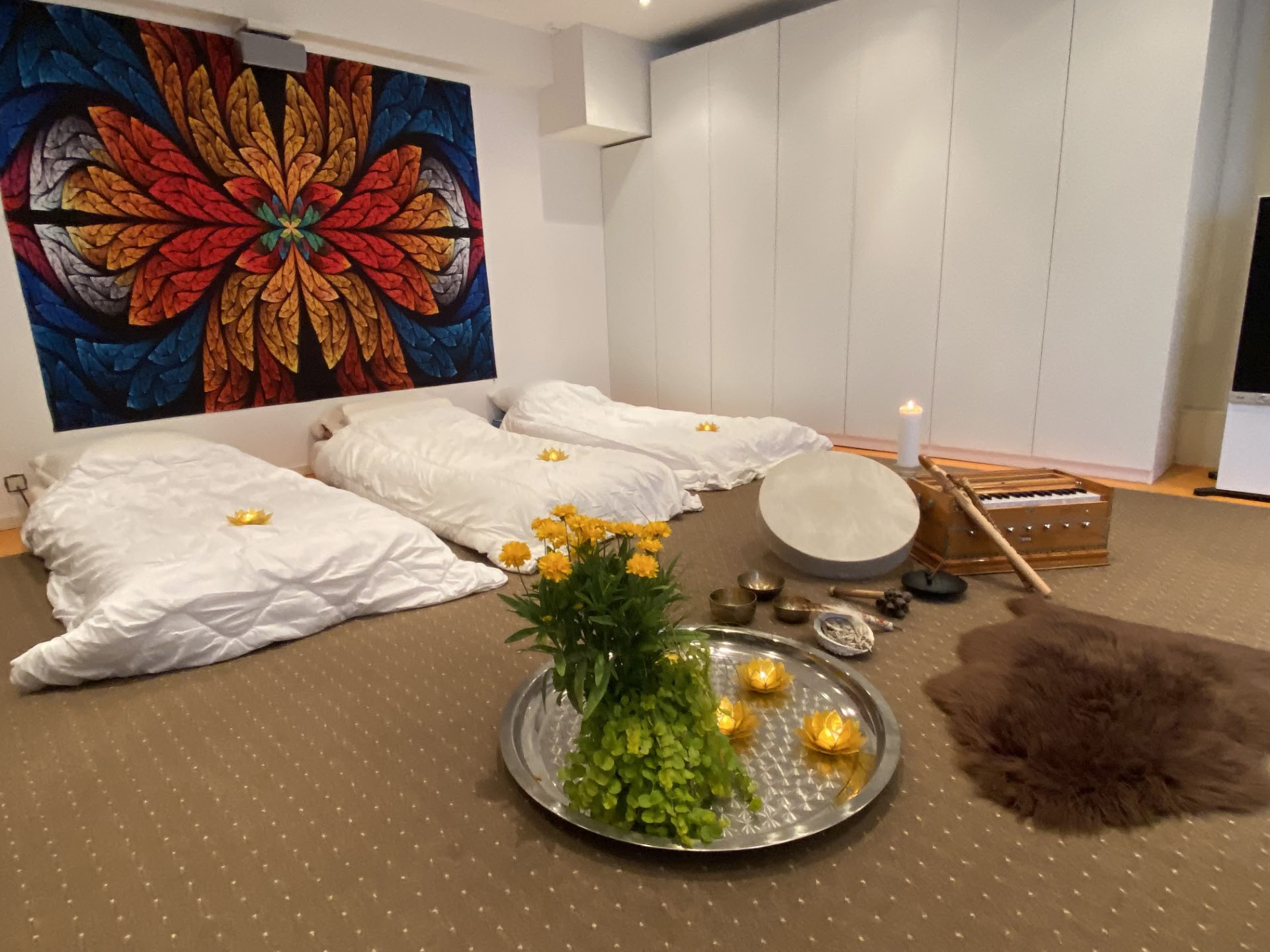 Private Ayahuasca-Session