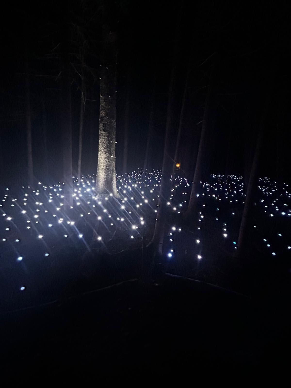 Das Akadi Lumina Glamping-Erlebnis