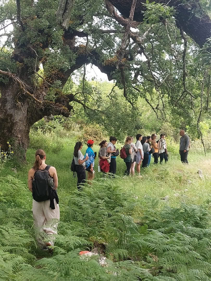 Tai-Chi-Qi-Gong-Retreat