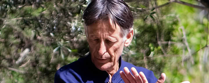 Tai-Chi-Qi-Gong-Retreat