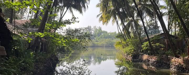 Yoga-Retreat in Goa