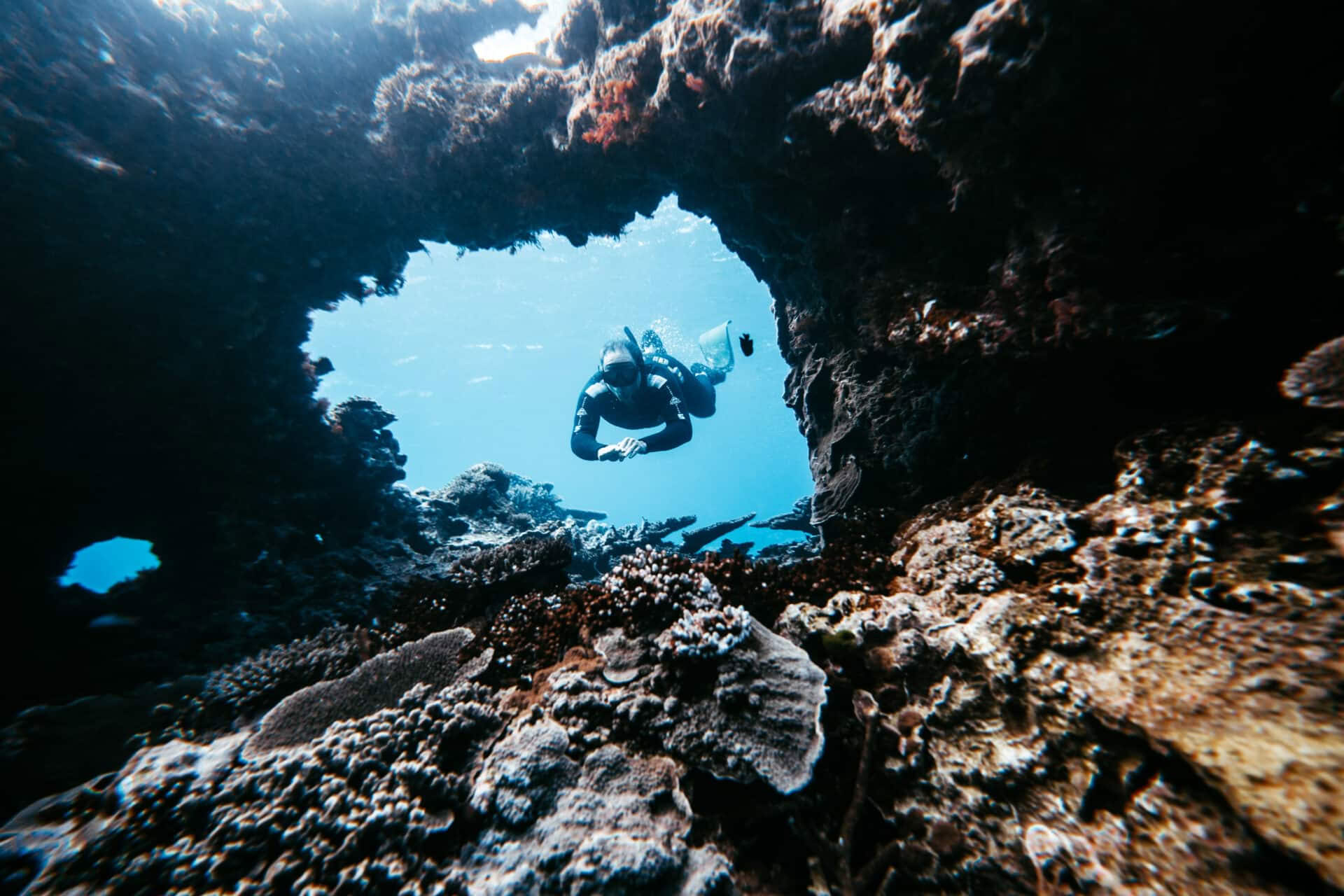 Freitauchen und nur für Tauchlehrer ohne Atem an Lady Elliot Island