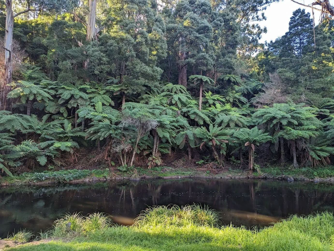 Warburton Wellness-Retreat
