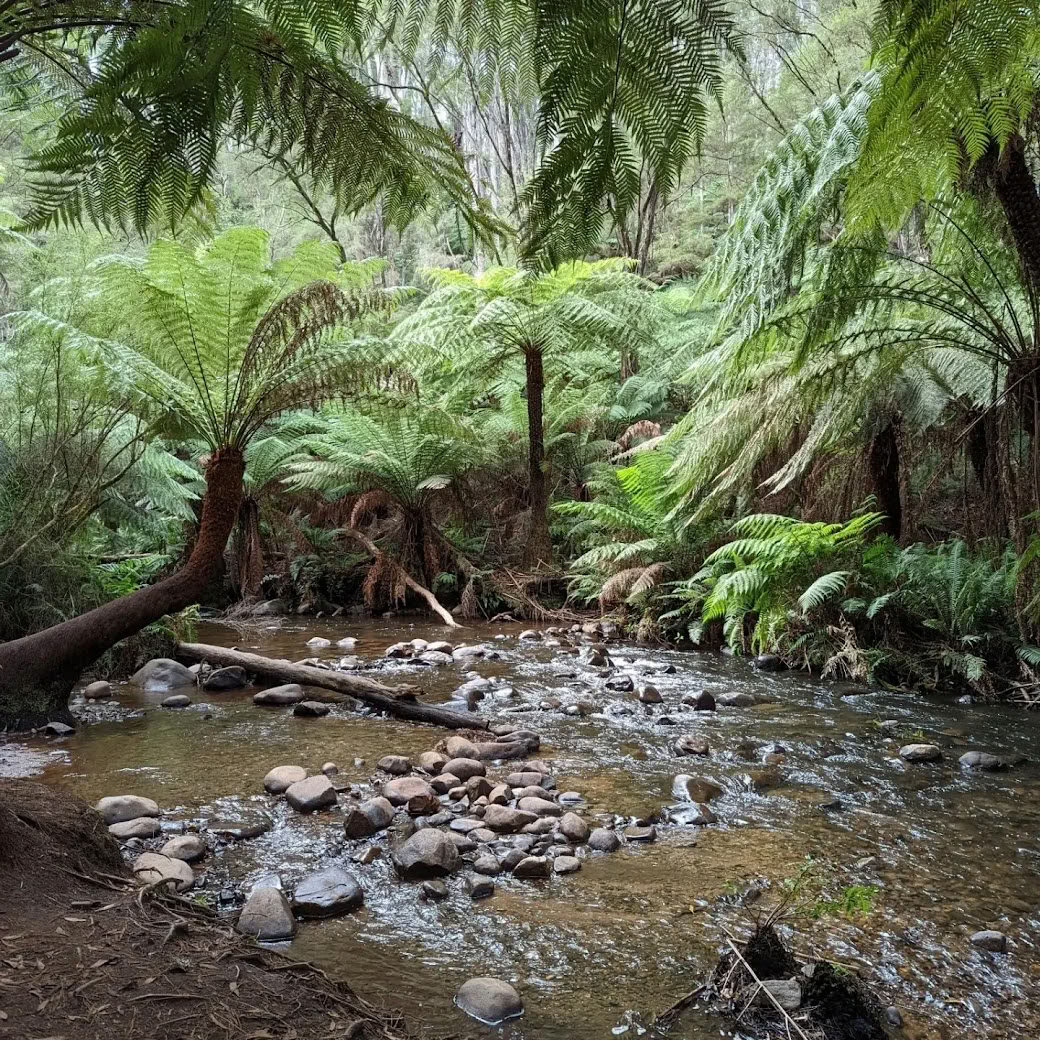 Warburton-Übernachtungs-Retreat