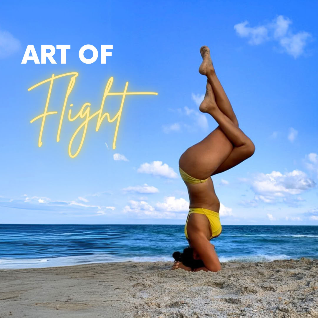 300 HR YTT | Chakra Flow University – Die Kunst des Fliegens: Umkehrhaltungen & Arm-Balancen