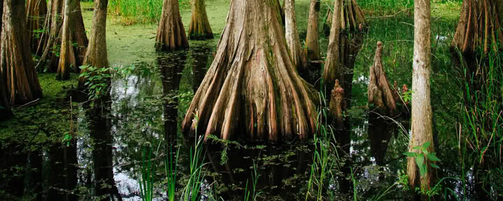 300HR YTT | Chakra Flow University – Restoratives Yoga & traumasensible Praktiken