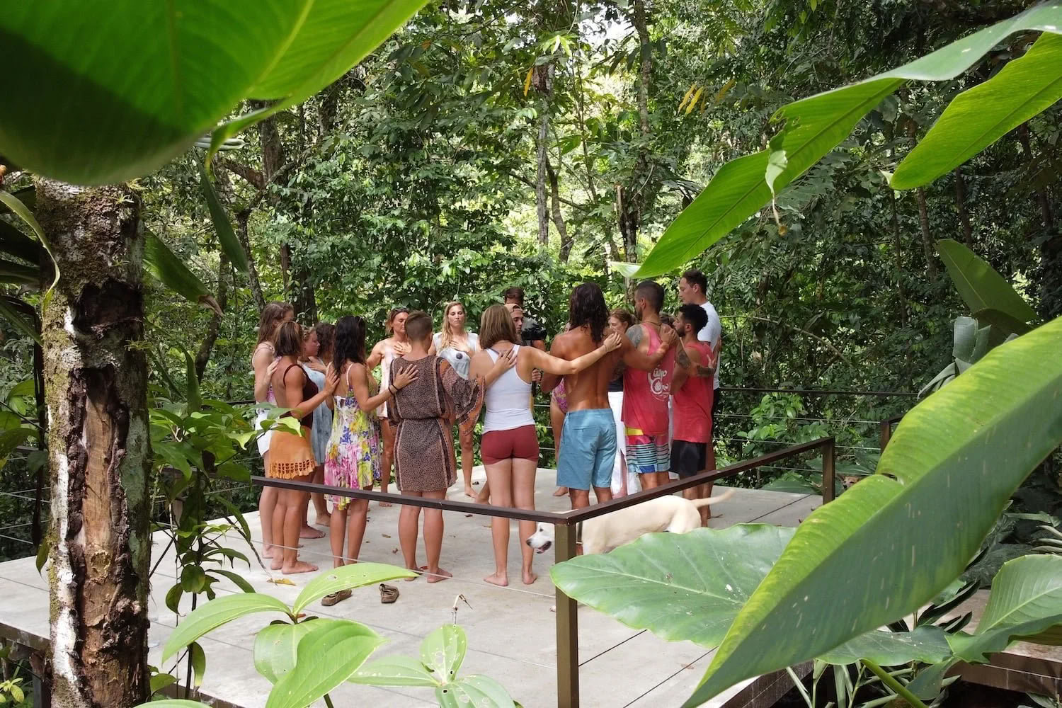 Retreat „Das lebendige Wissen der Heilung“ – 2.–9. September 2026 | Casa Kia Ora