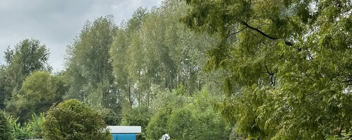 Ein seelenvoller Neustart in einer magischen Landschaft | Norfolk, UK