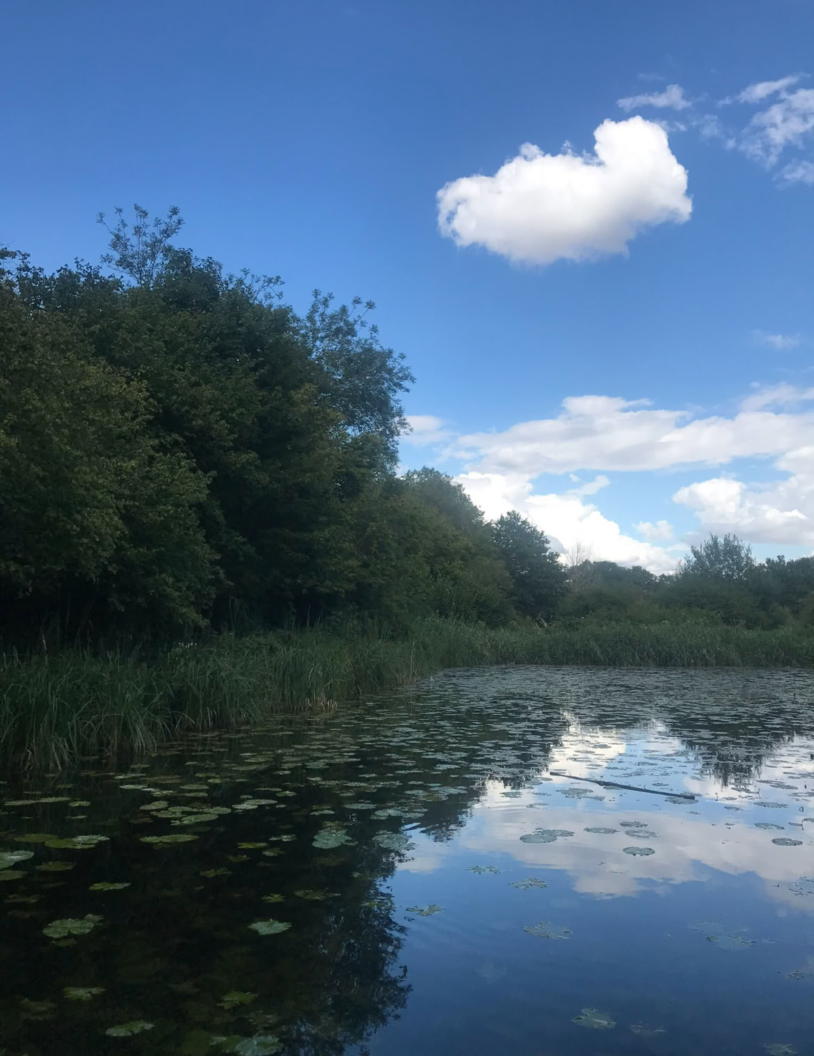 Achtsamkeit im Wald 🌳 Erlebnis