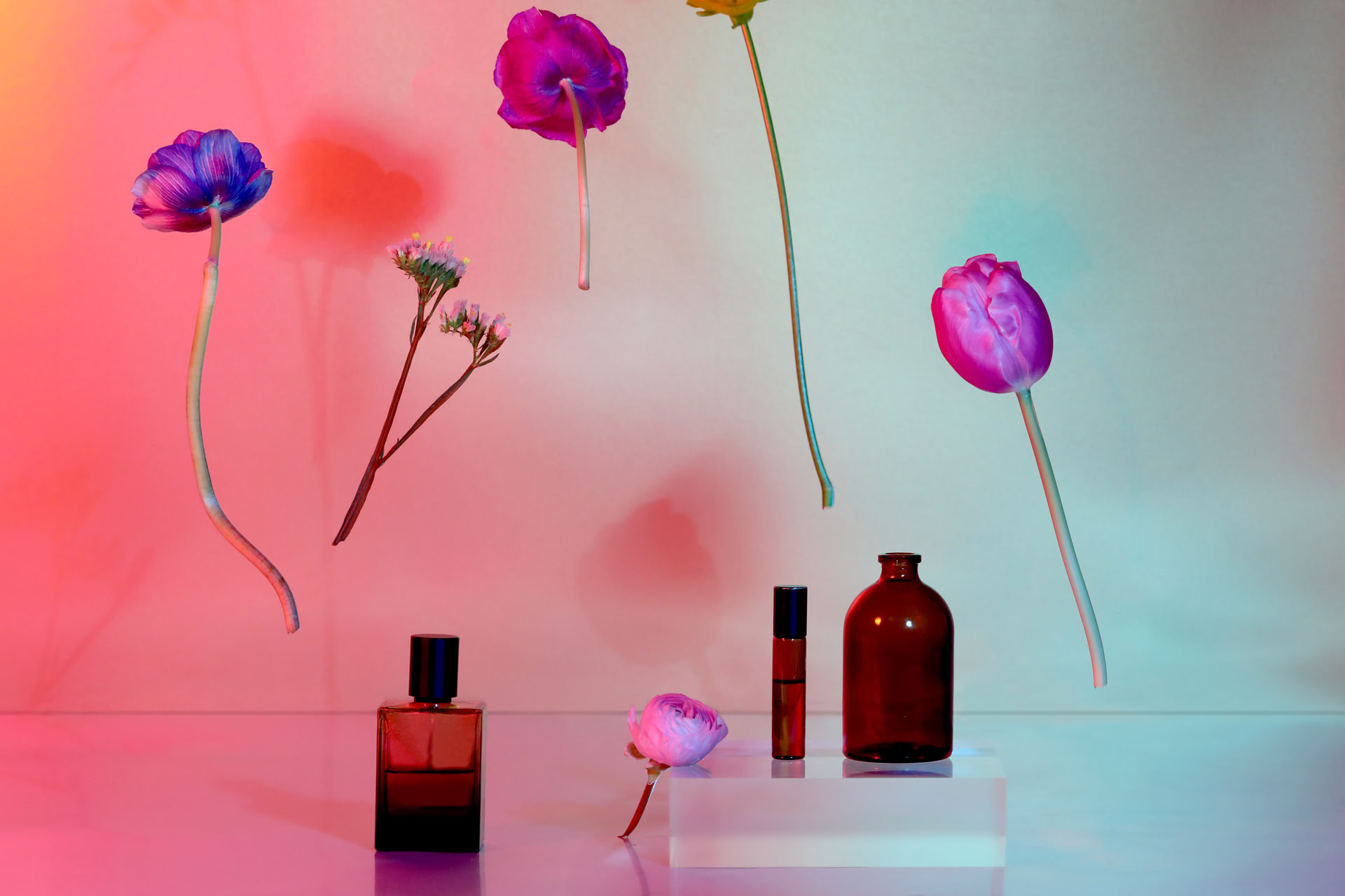 Einführung in die Aromatherapie