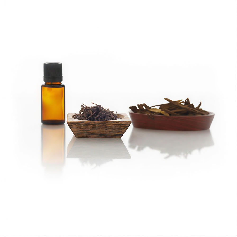 Einführung in die Aromatherapie
