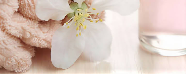Einführung in die Aromatherapie