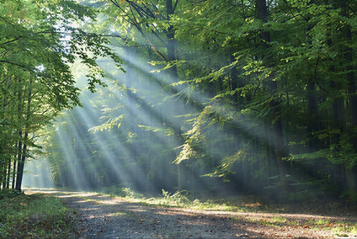 Reiki-2-Praktikerkurs
