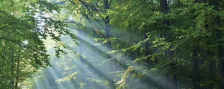Reiki-2-Praktikerkurs