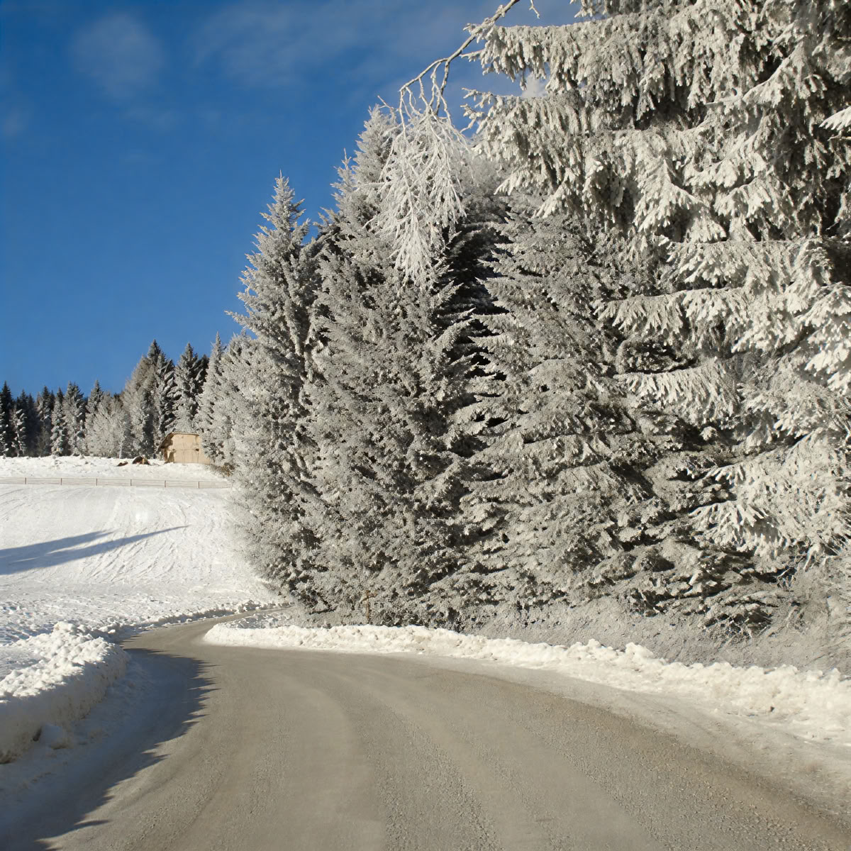 Paar Retreat am Reinischkogel