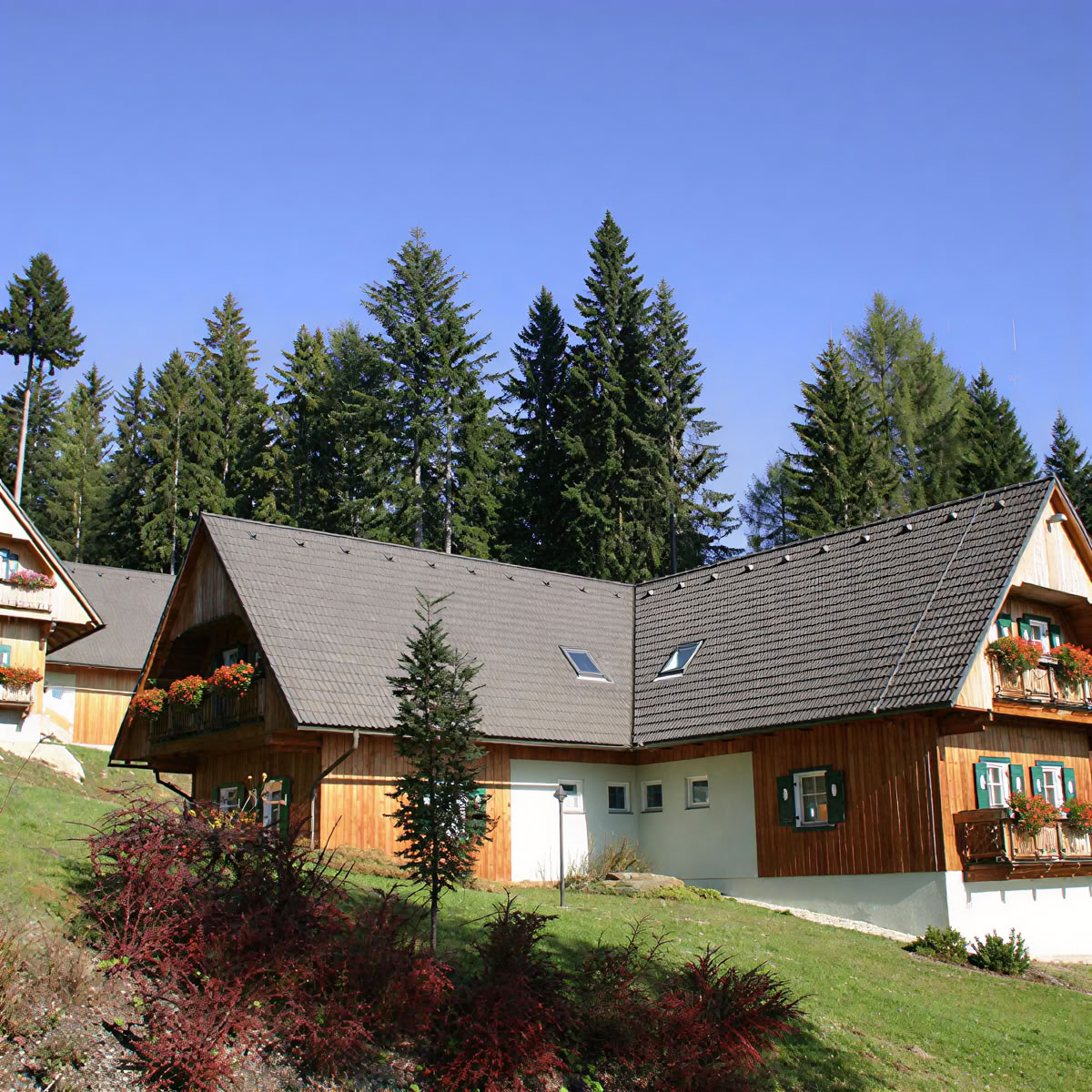 Hochseilgarten