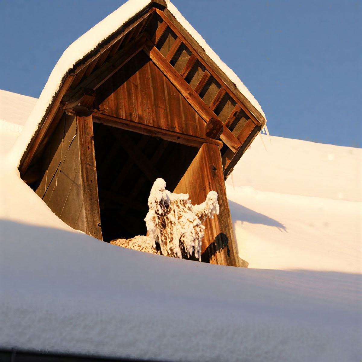 Hochseilgarten