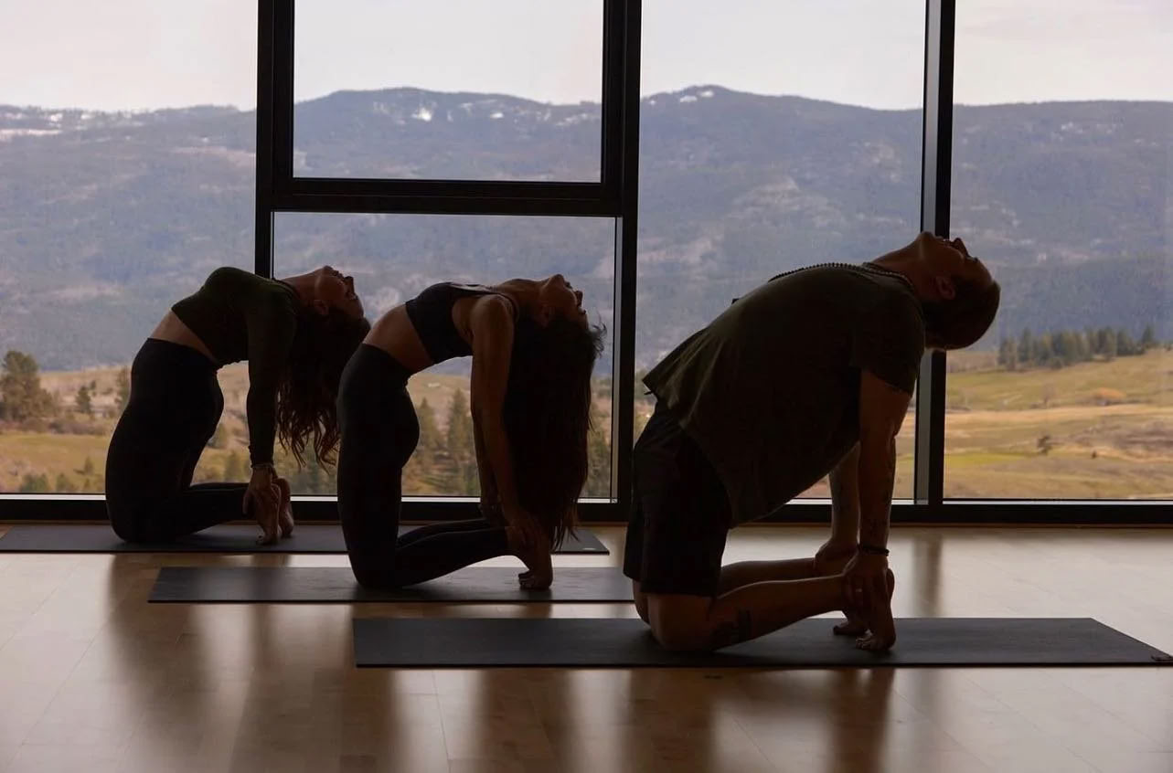 Dockside Flow: Yoga & Meditation am Okanagan-See!