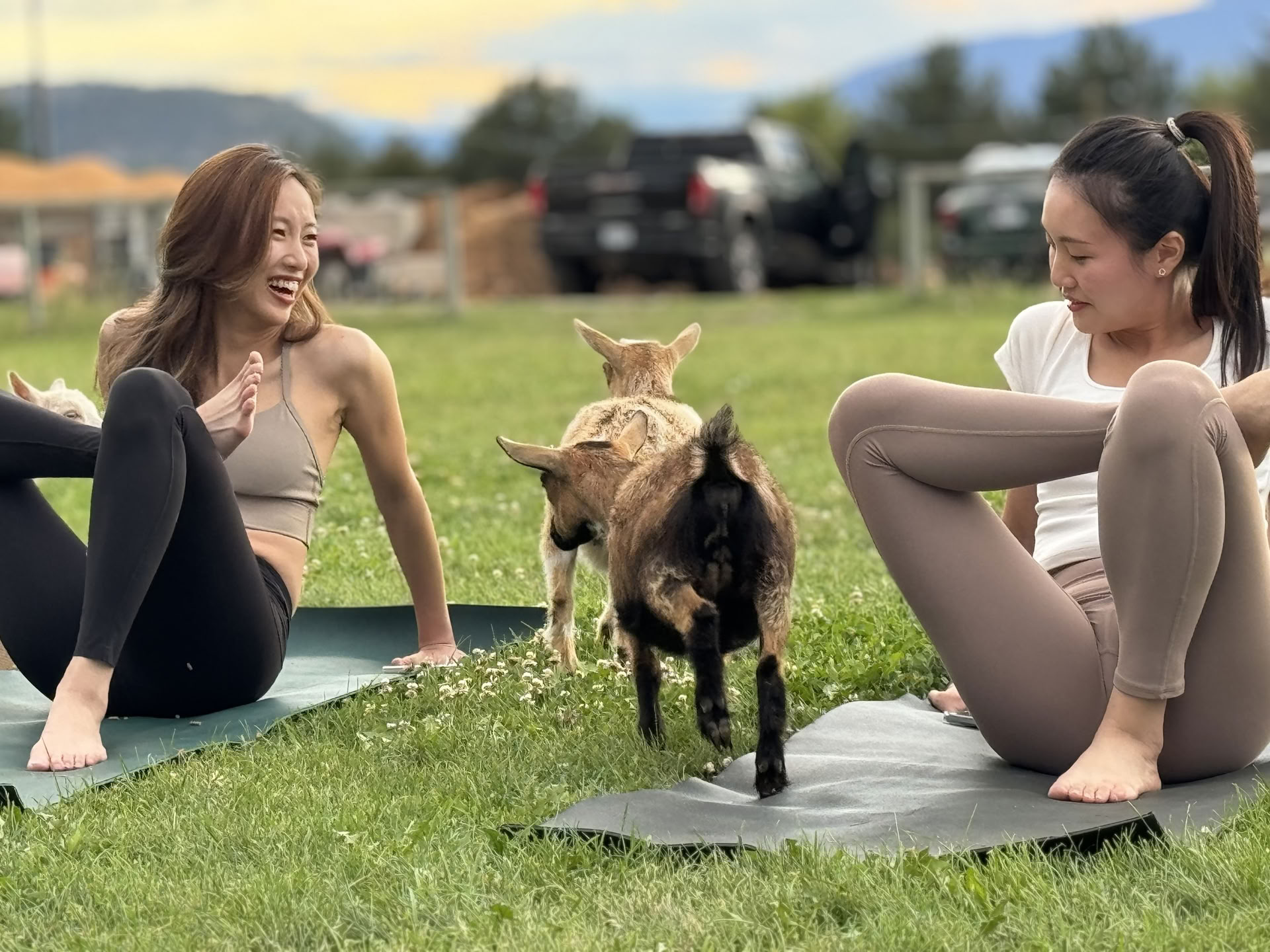 Dockside Flow: Yoga & Meditation am Okanagan-See!