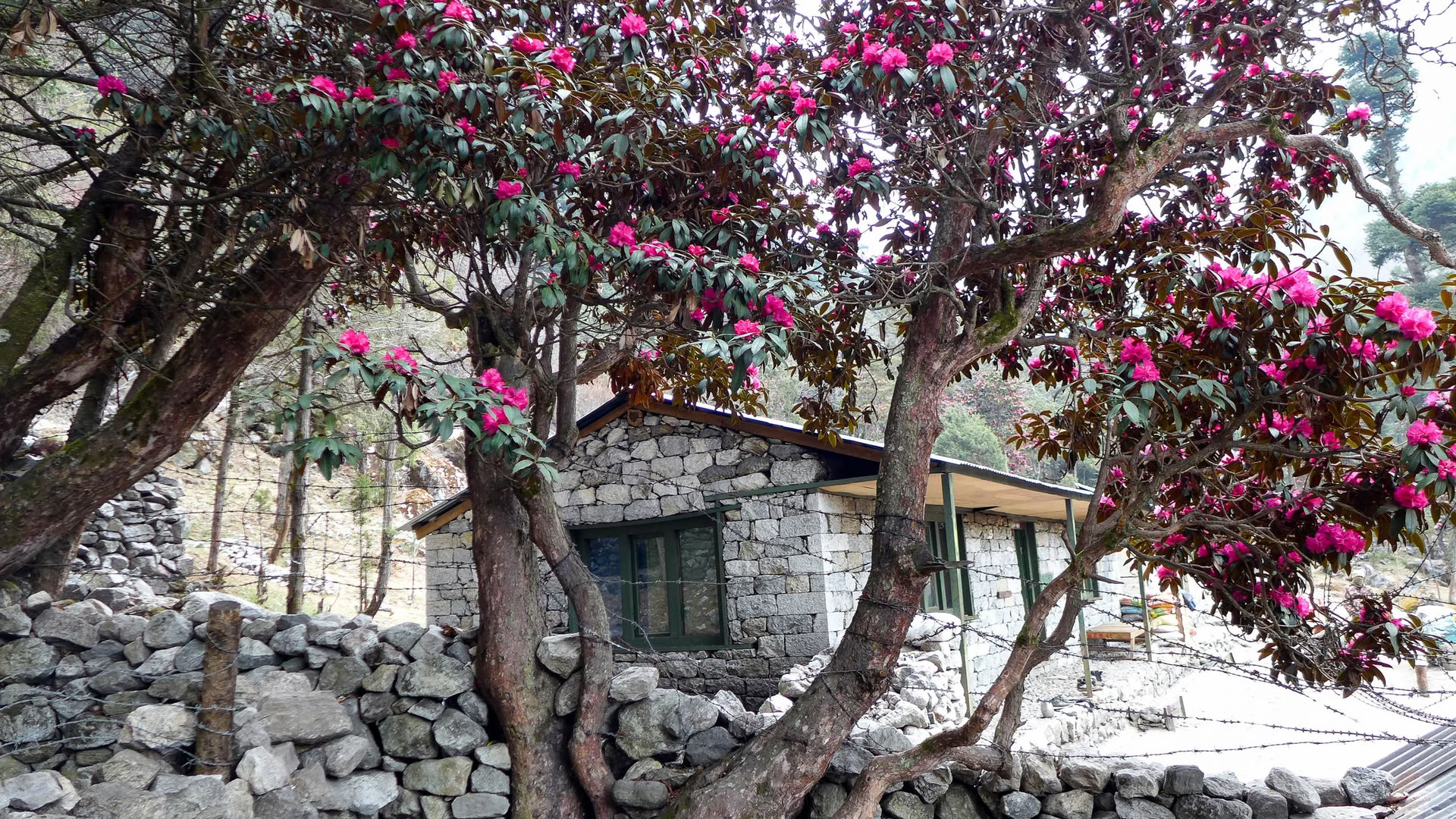 Annapurna-Basislager