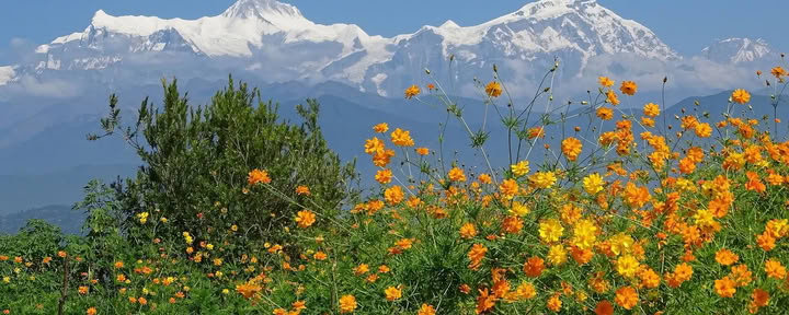 Annapurna-Basislager