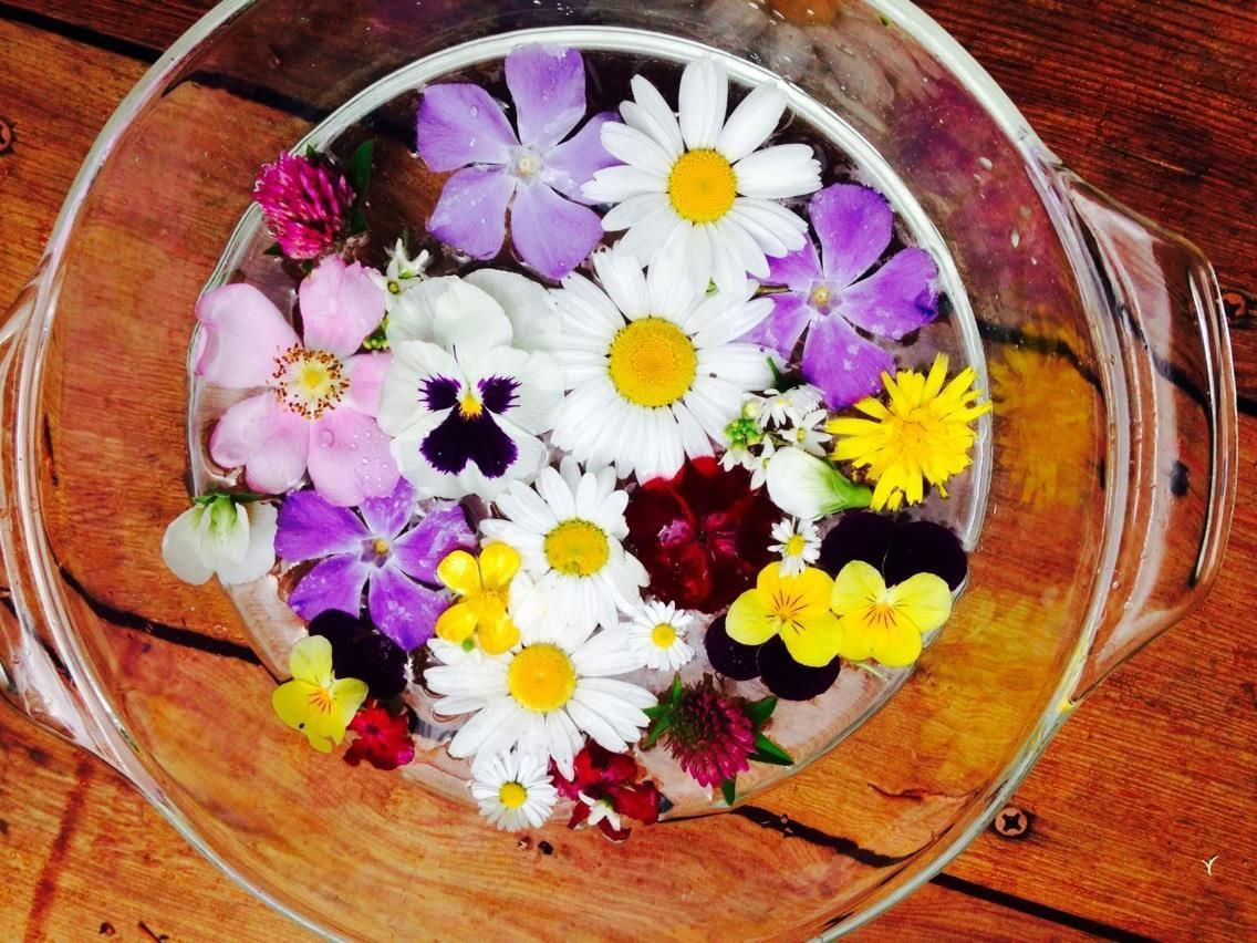 Ayurvedische Gemeinschaftsreinigung