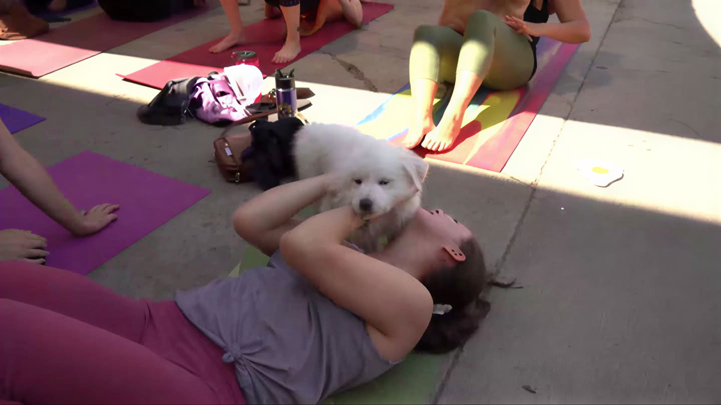 Yoga & Pilates im Bierstadt Lagerhaus | Denver
