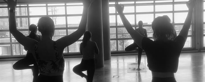 Welpen-Yoga – Adoptions-Social (alle Niveaus)