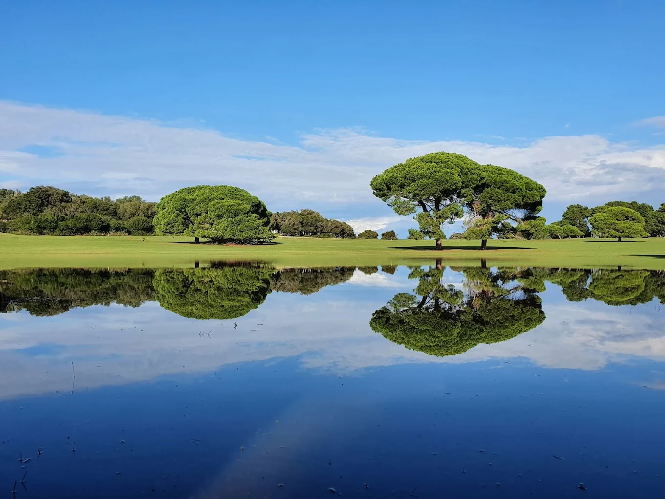 22.–26. Sep. Yoga-Retreat im Nationalpark Brijuni
