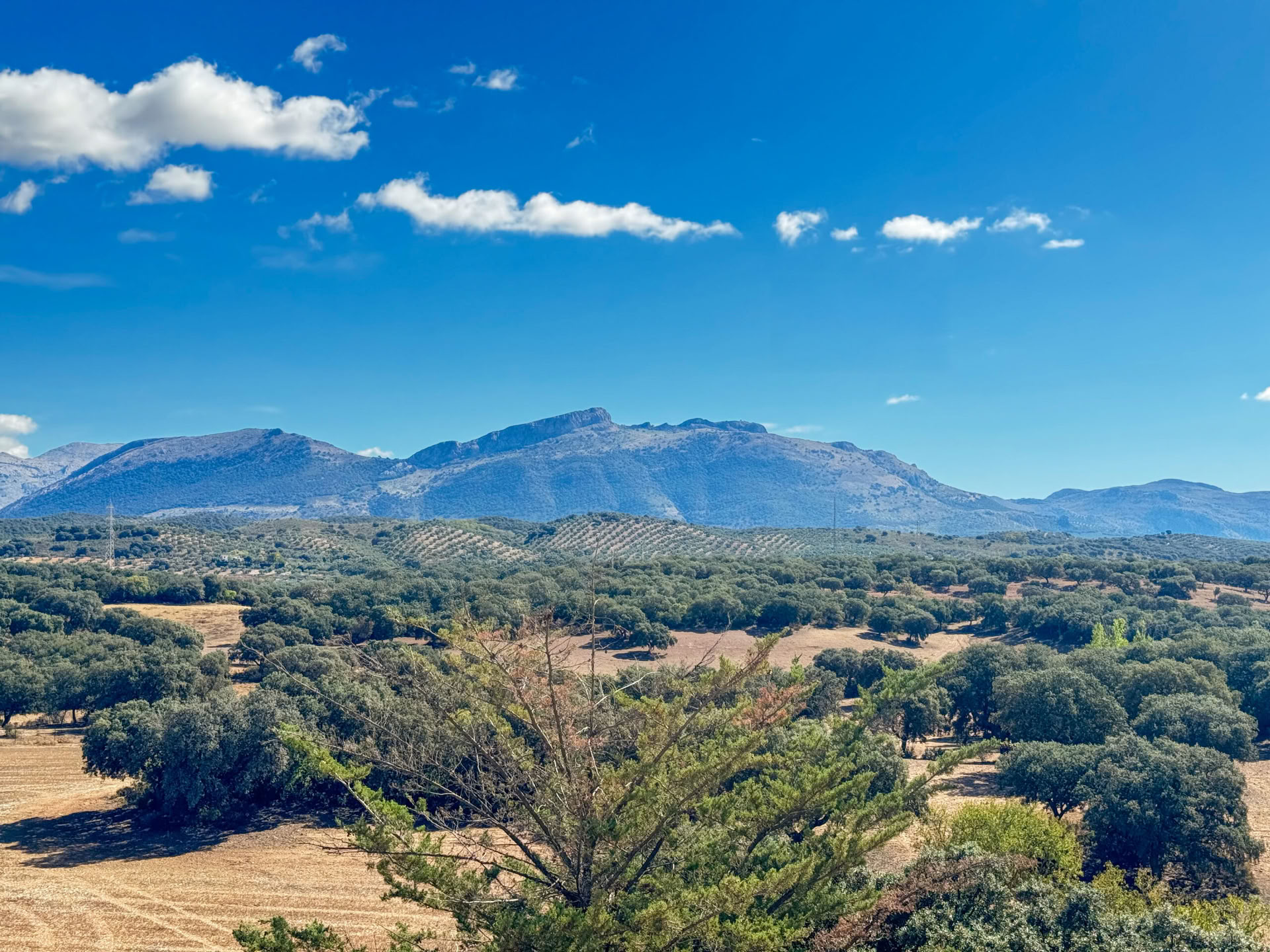 Finca La Lola mieten