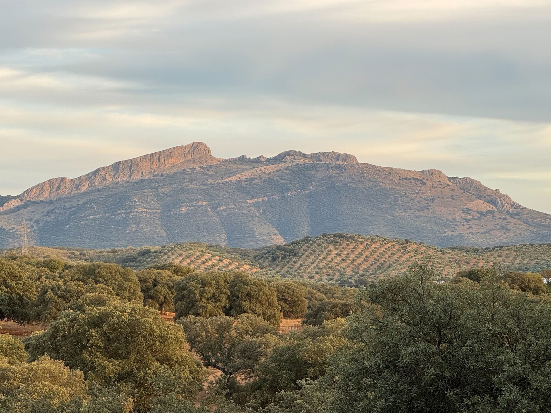 Finca La Lola mieten