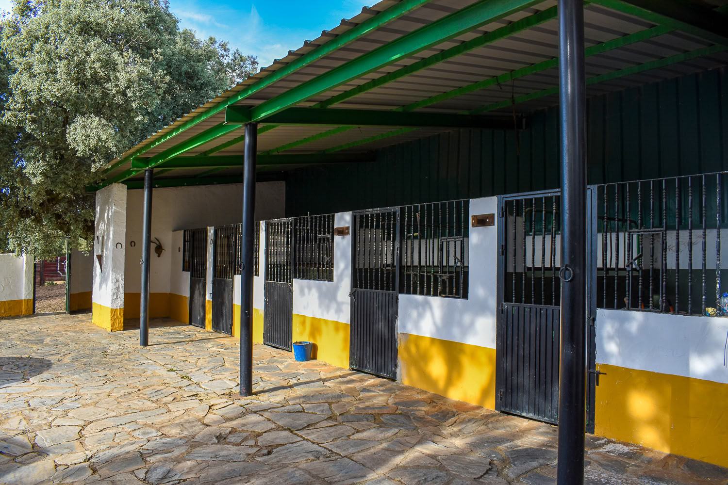 Finca La Lola mieten