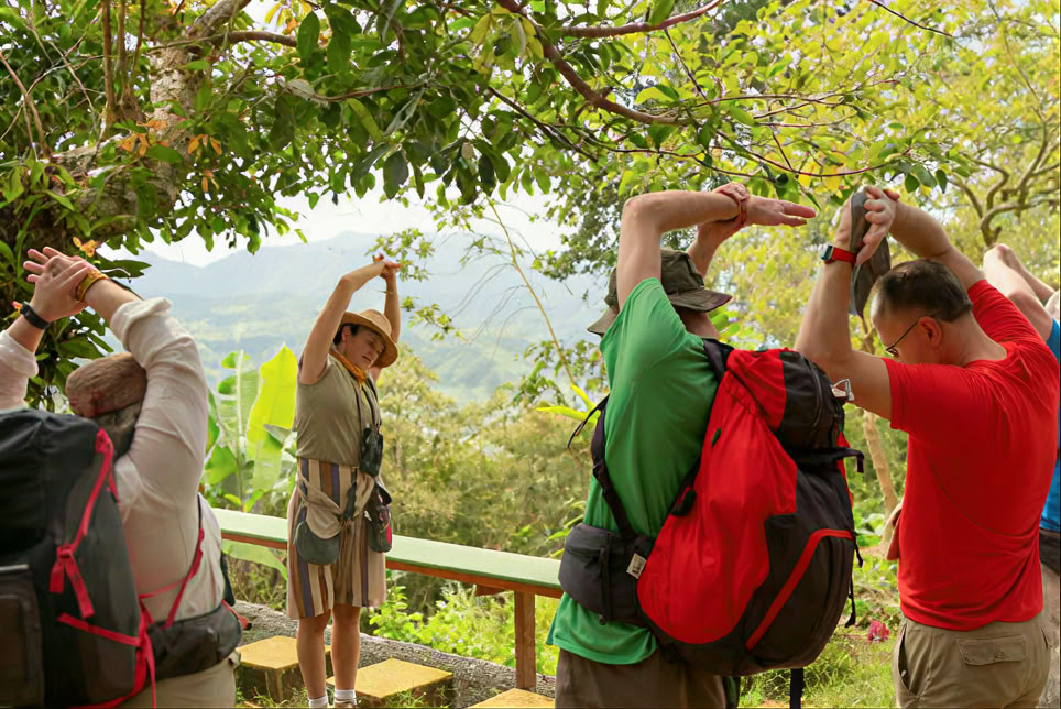 Spanisch-Immersions- und Wellness-Kurs (29. November–13. Dezember 2026)