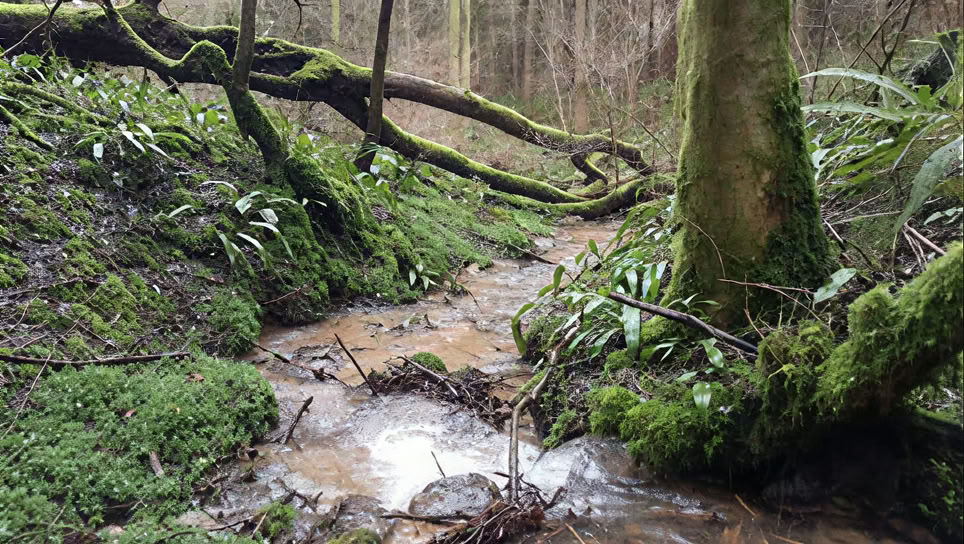 Winter-Wellness-Retreat – Cotswolds