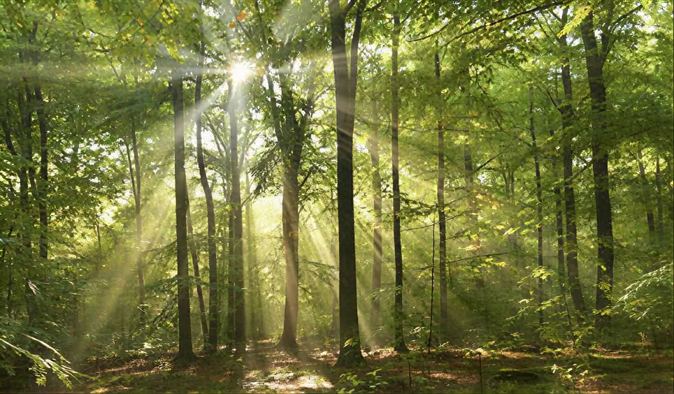 Vollmondfeiern & Neumondzeremonien