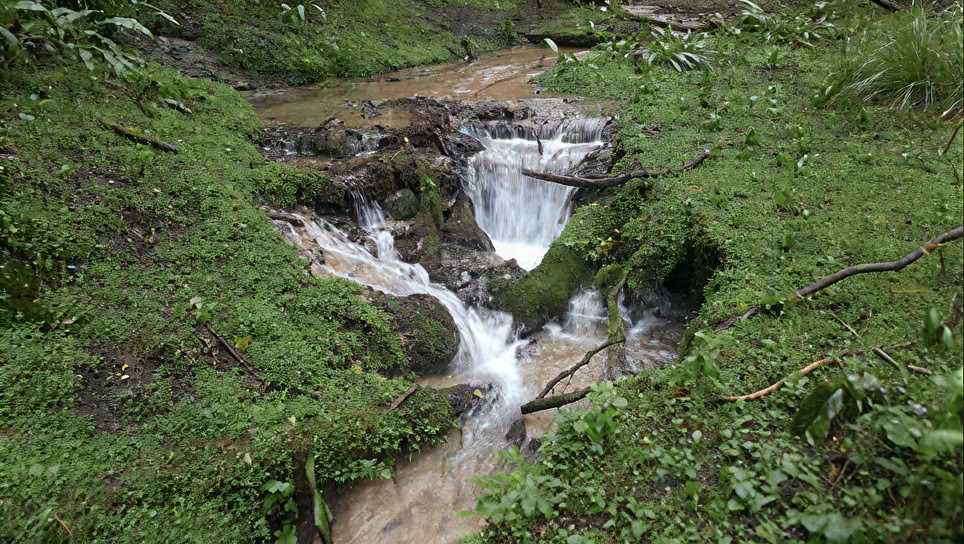 Erwecke dein kreatives Selbst – 1-tägiges Retreat am Samstag