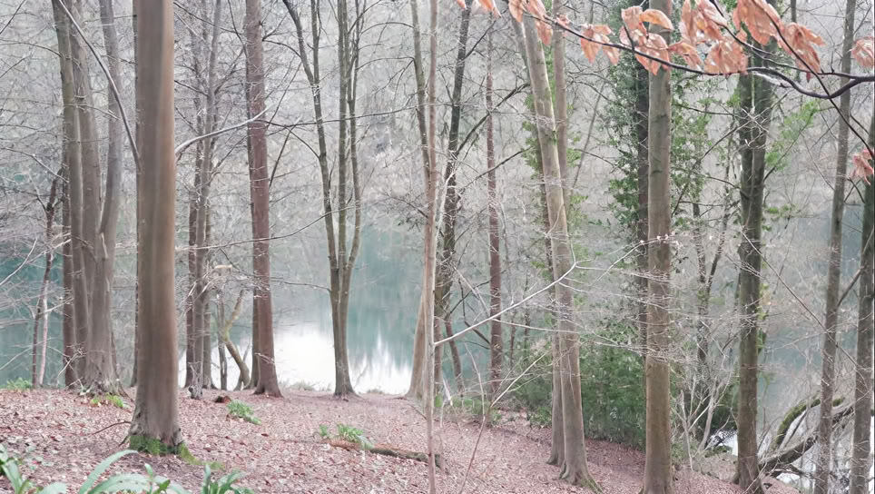 Erwecke dein kreatives Selbst – 1-tägiges Retreat am Samstag