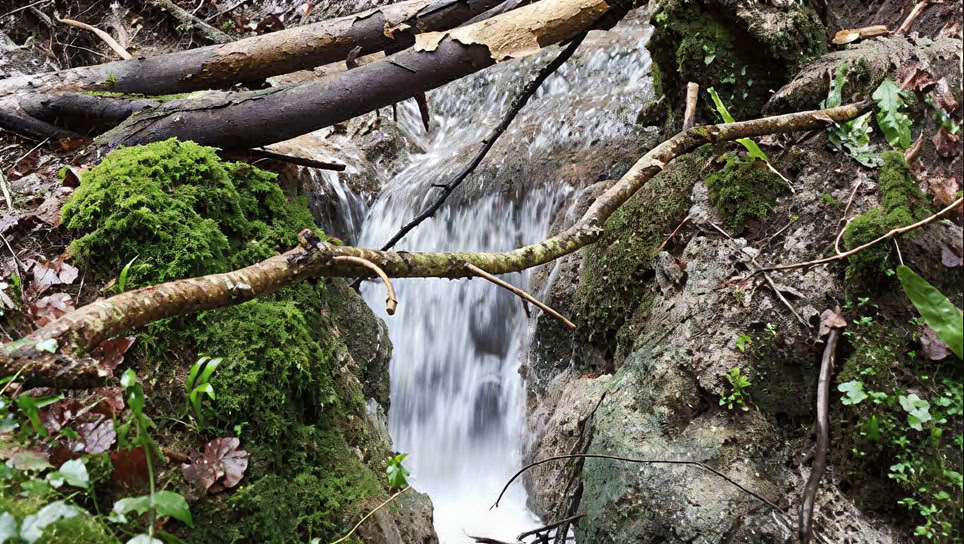 Erwecke dein kreatives Selbst im Sommer – 5-tägiges Luxury Retreat