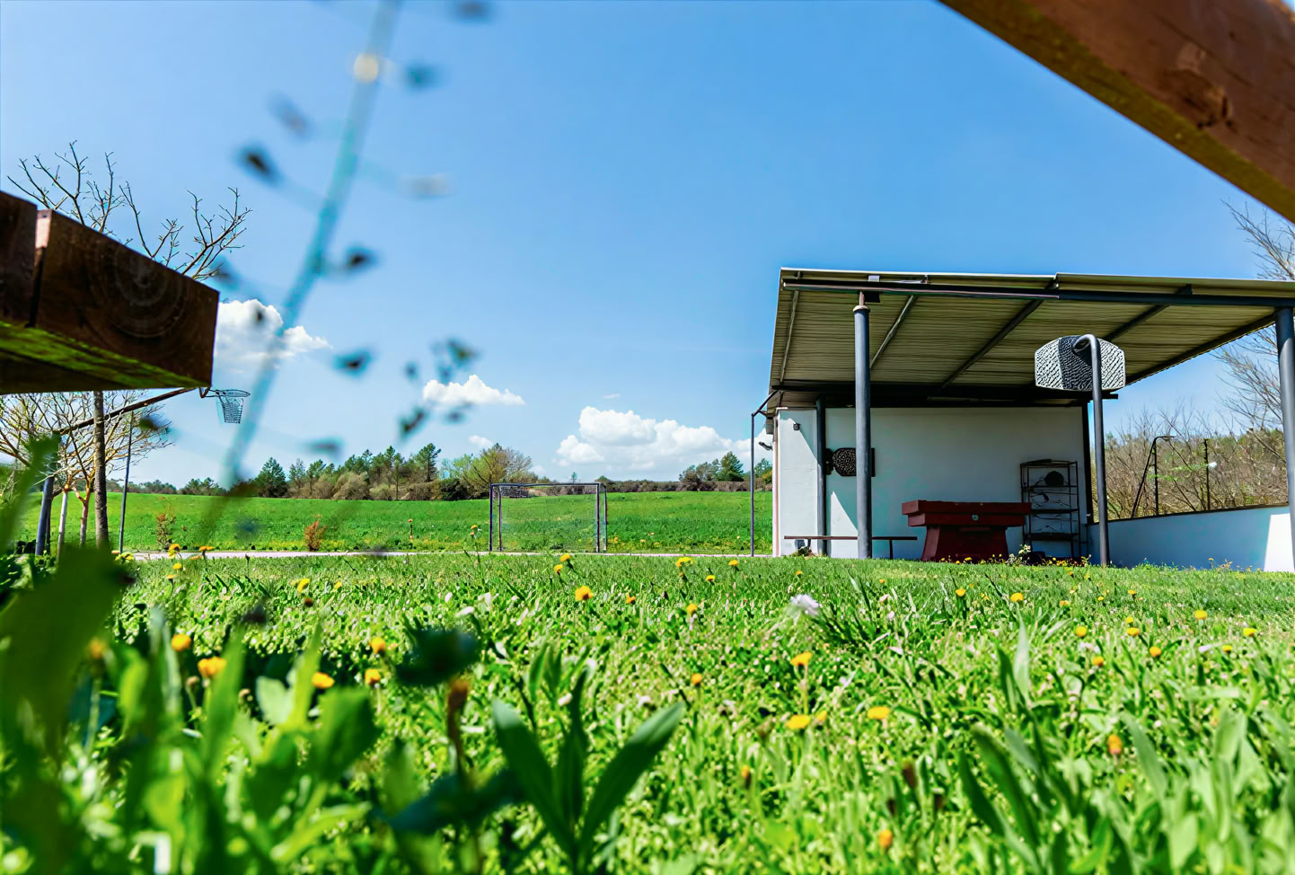 Frühlings-Erwachens-Körper-Retreat