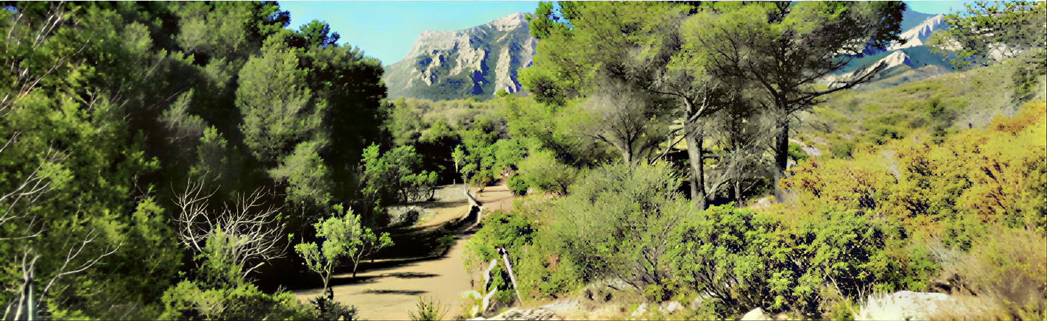 Yoga- und Tiefenruhe-Meditations-Retreat