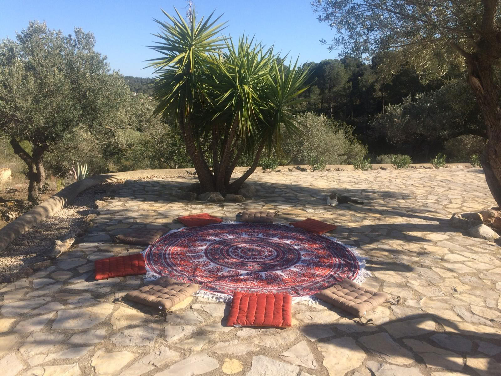 Yoga- und Tiefenruhe-Meditations-Retreat