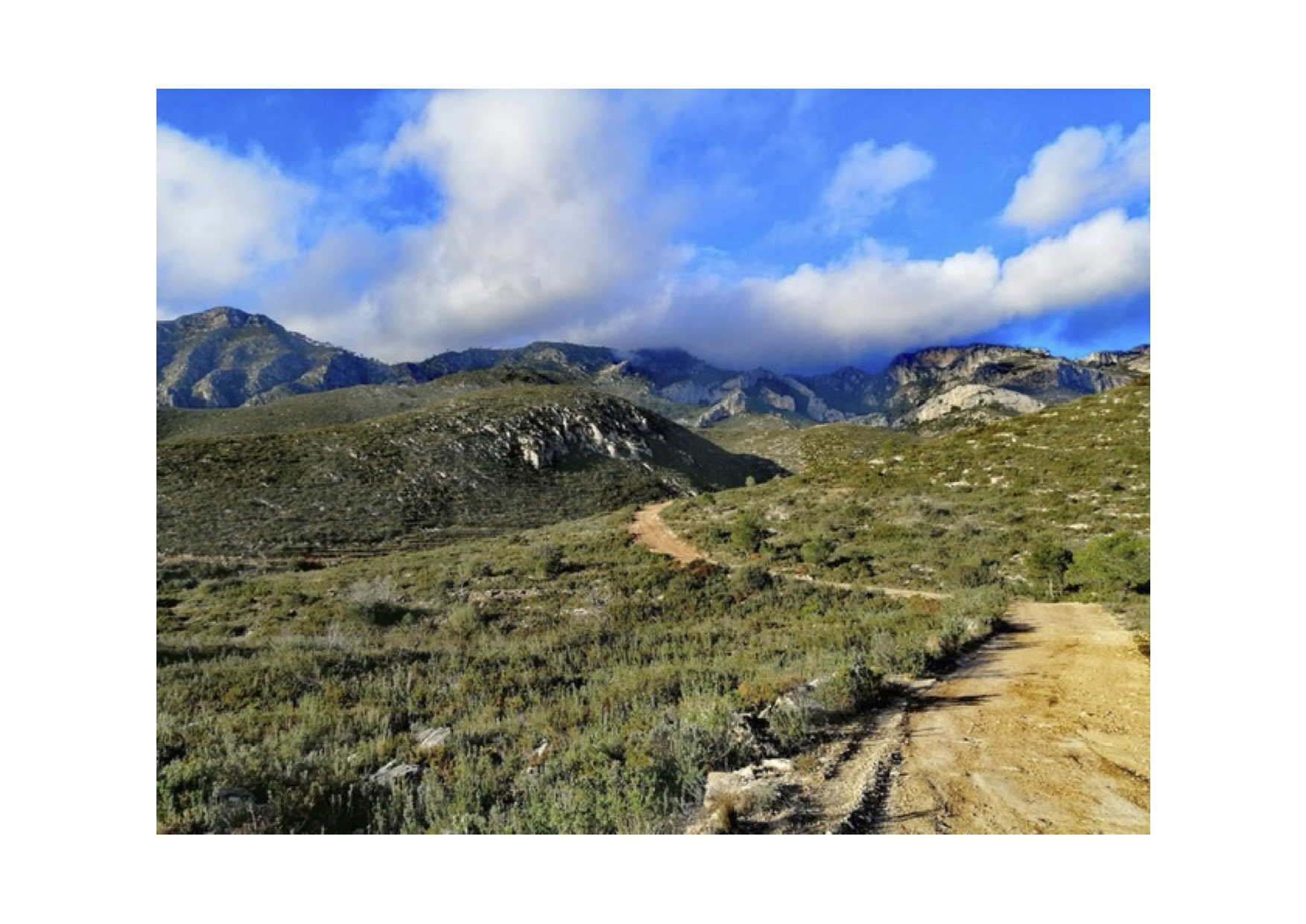 Yoga- und Tiefenruhe-Meditations-Retreat